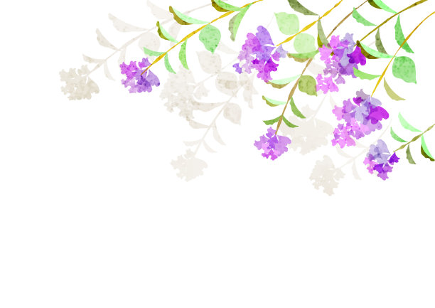 紫薇镜框典雅，水彩纹理图片下载