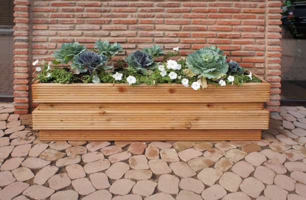 红色砖墙旁的木花坛上的花。装饰卷心菜和白色矮牵牛花的原长花盆在街上。美丽的景观设计。图片下载