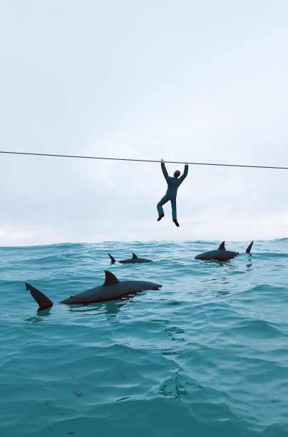 勇气和力量的概念逃离被鲨鱼包围的情况图片下载