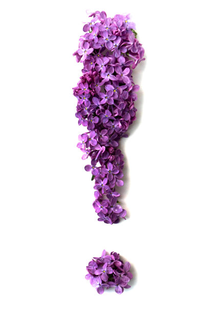 紫丁香的花字母图片下载