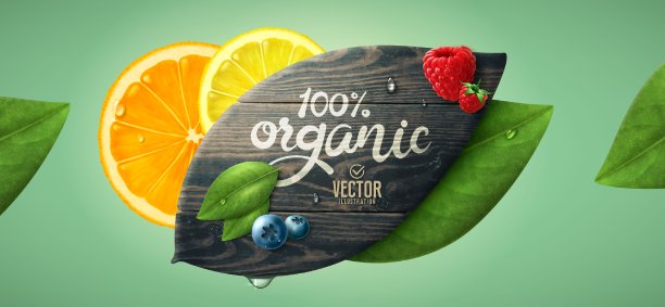 向量现实夏季水果模板。叶形木材，叶子和果实。图片下载