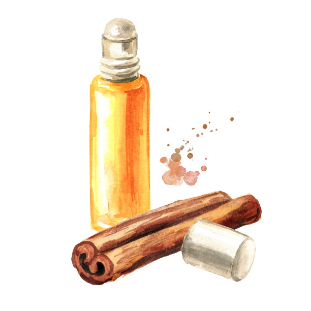 肉桂棒和一瓶精油，手绘水彩插图孤立的白色背景图片下载
