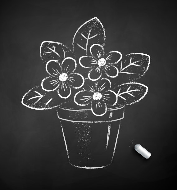 粉笔画的插图在花盆里的花图片下载