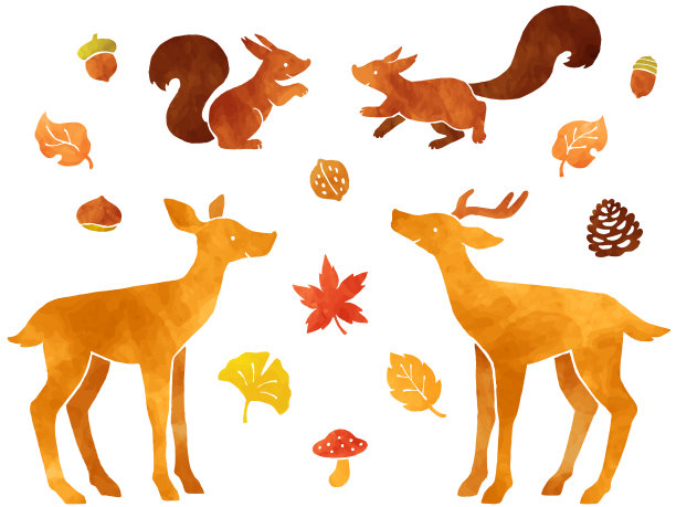 水彩风格的插图一套鹿和松鼠，秋天的叶子，坚果图片下载