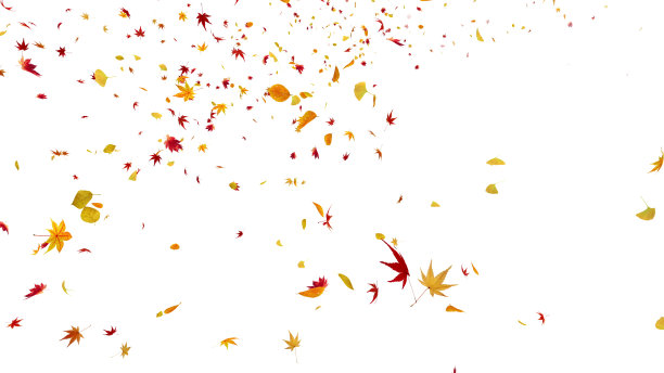 秋叶飞扬的叶子3D插图背景图片下载