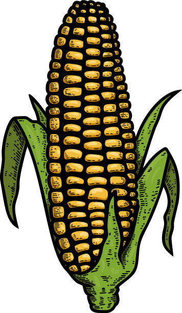 玉米穗的设计元素为雕花风格图片下载