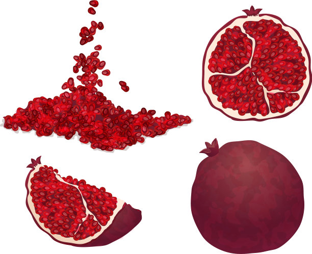 石榴图标设置卡通风格图片下载