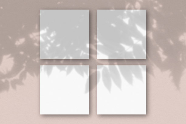 4张方形的白色纹理纸在蓝色的墙壁背景上。模型覆盖的植物阴影。自然光在外来植物上投下阴影。平躺，俯视图图片下载