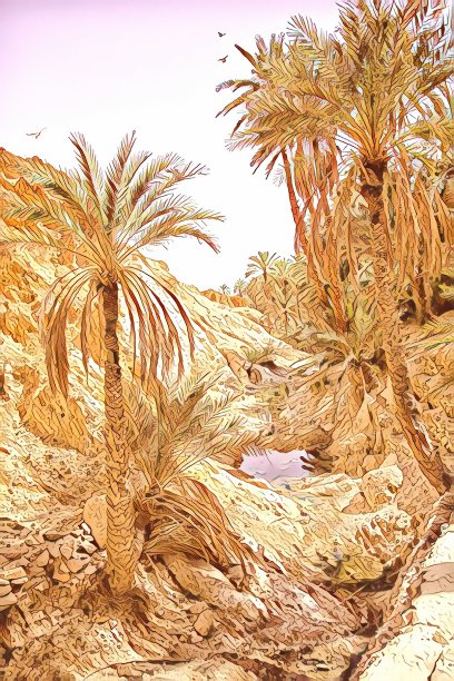 撒哈拉沙漠中的切比卡绿洲图片下载