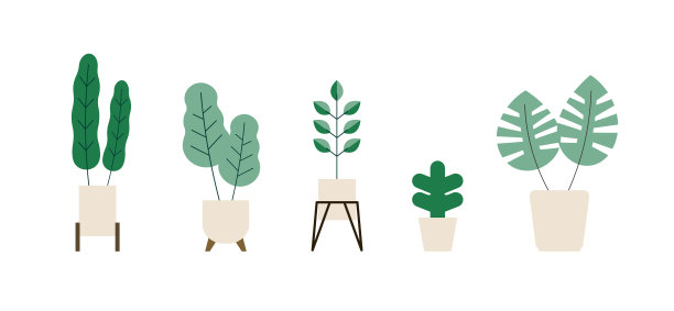 一组向量盆栽植物。孤立的现代平面矢量插图绿色植物在盆栽。图片下载