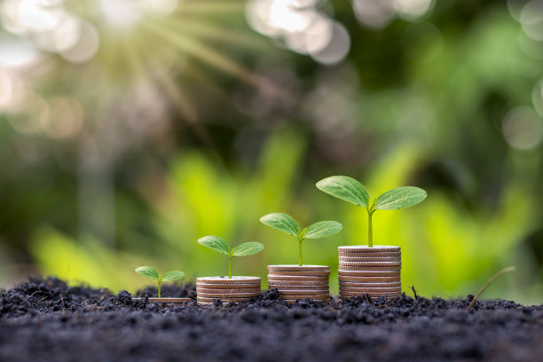 硬币和植物生长在一堆硬币上，用于金融和银行业。储蓄和增加财政的想法。图片下载