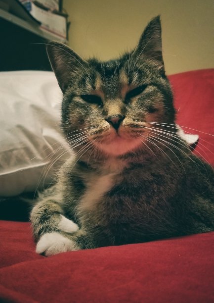 快乐的日子图片下载