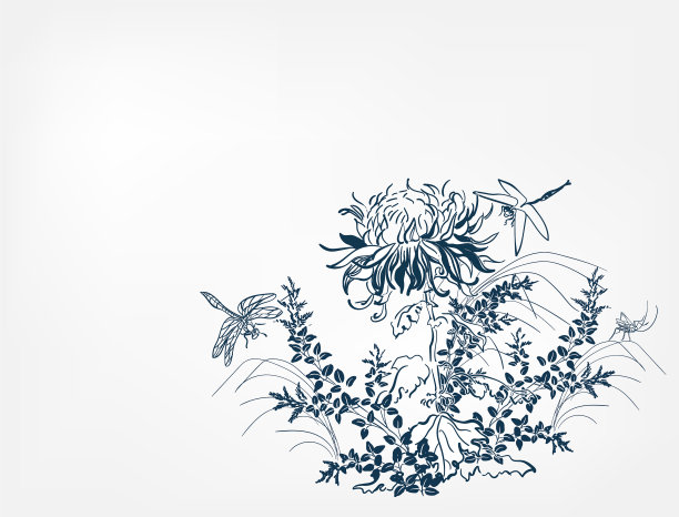 菊花日本中国设计草图墨水图片下载