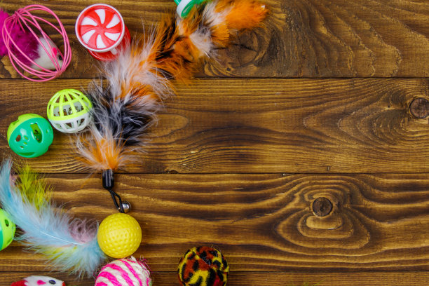 一套玩具的猫在木制背景。俯视图，复制空间图片下载