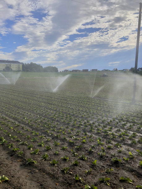 浇水开垦的土地图片下载