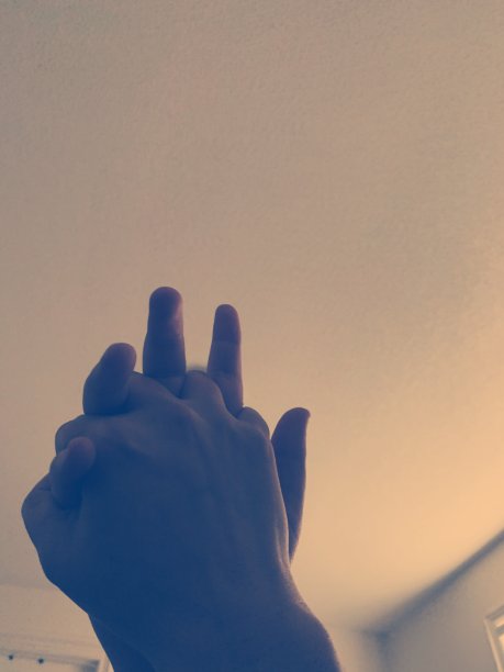 抱茎……图片下载