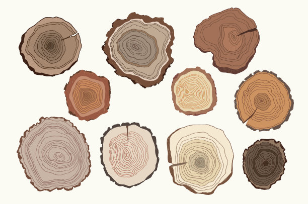 树的年轮》图片下载