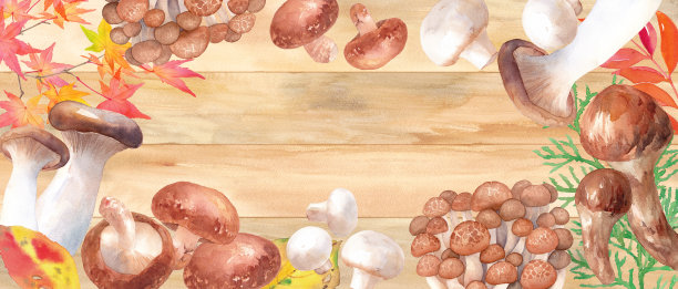 秋收形象旗帜。框架设计的桌子装饰有各种蘑菇。水彩插图。图片下载