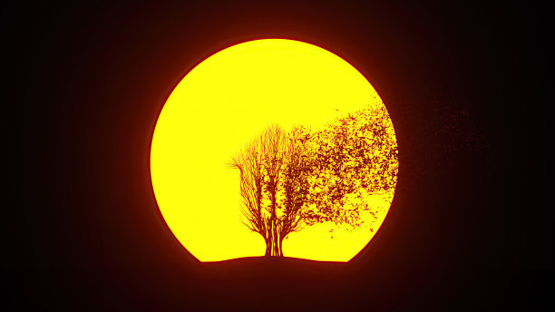 一棵正在生长的树的剪影，形成一个房子的形状。环保的概念。图片下载