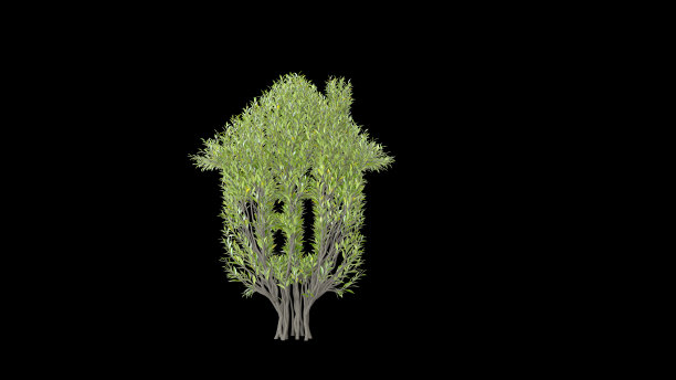 树长得像房子一样。环保的概念。图片下载