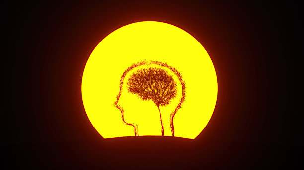 脑袋里生长的树的剪影，形状像人脑。环保的概念。图片下载