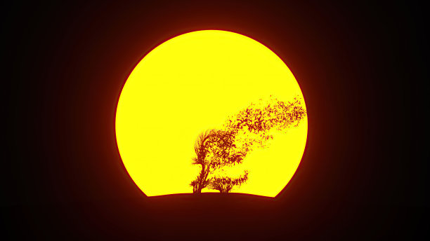 生长的树的剪影在一个磅标志的形状。环保的概念。图片下载