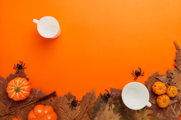 收集万圣节和秋季派对对象框架图片下载