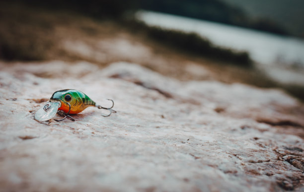 鱼饵图片下载
