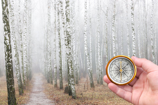 指南针在手以秋松林为背景作为旅游用指南针的象征，旅行用指南针，户外活动用指南针在秋天图片下载