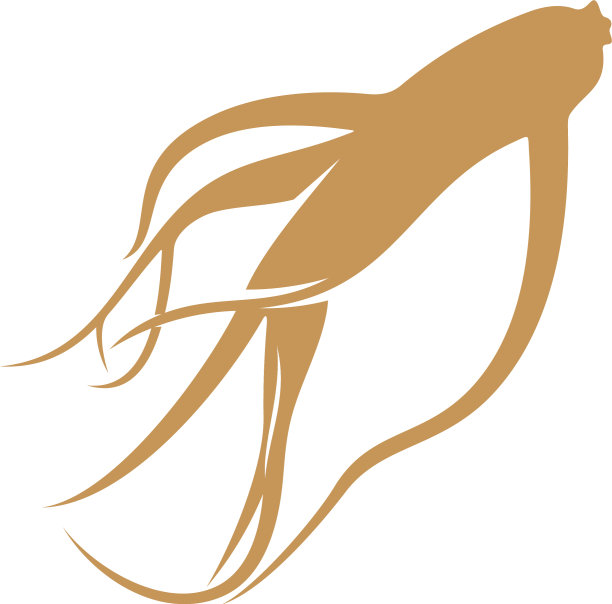 人参标志设计模板上有人参根图片下载