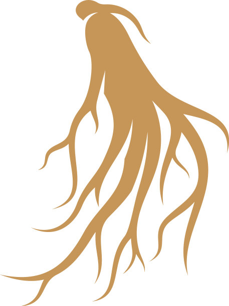 人参标志设计模板上有人参根图片下载