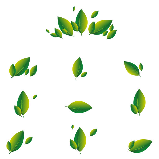 设置绿色的叶子在一个白色的背景生态图片下载
