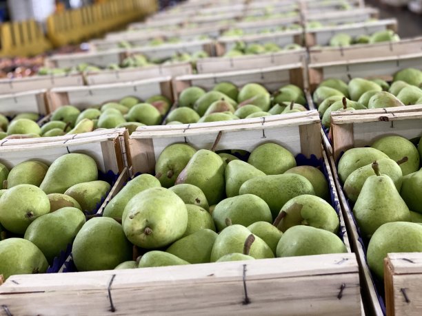 梨在盒子里图片下载