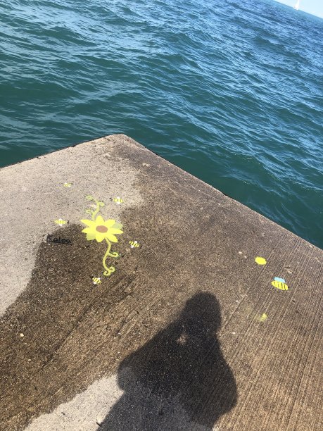 水域边缘图片下载