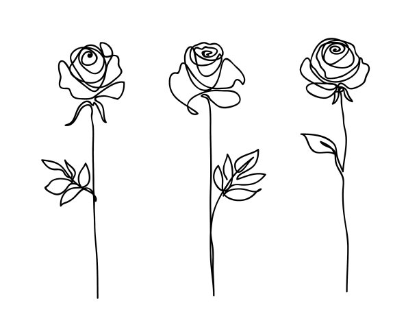 玫瑰花集连续画线艺术图片下载