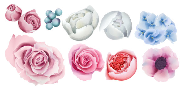 水彩彩色浆果，玫瑰，兰花和图片下载