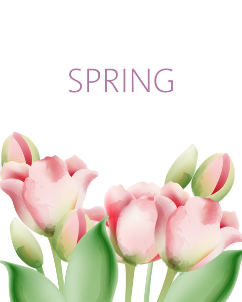 水彩郁金香花与绿色的叶子和图片下载