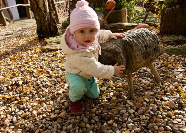 一个小女孩从她在秋天玩的雕刻木雕上站了起来，背景是万圣节的南瓜图片下载