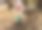 一个小女孩从她在秋天玩的雕刻木雕上站了起来，背景是万圣节的南瓜图片下载