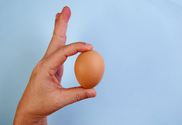 人类手握鸡蛋图片下载