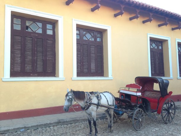 特立尼达的马车。图片下载