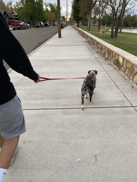 每天走路图片下载