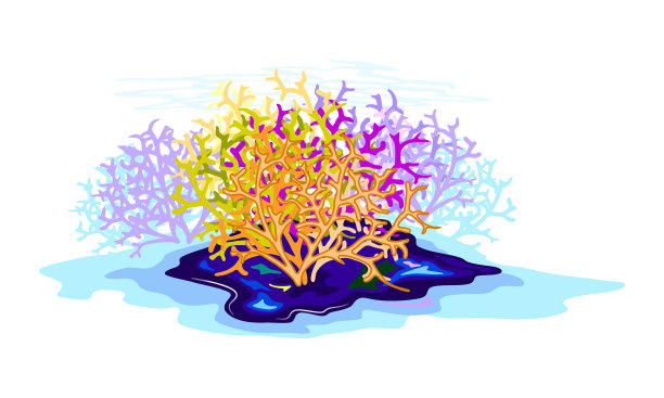 橙色，黄色，紫色，绿色，惊人的珊瑚礁图片下载