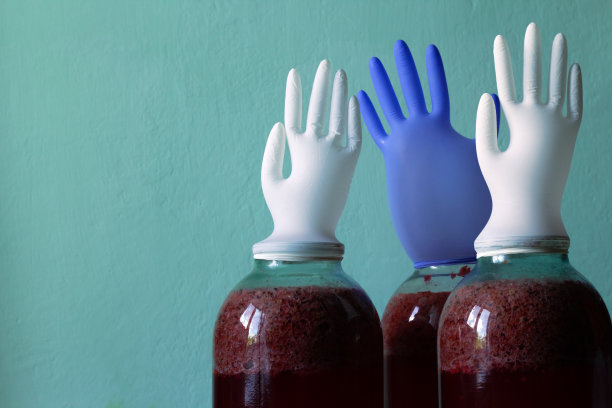 发酵浆果浆用于葡萄酒的罐子和橡胶手套。自制葡萄酒产量。图片下载