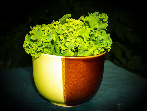 绿色的莴苣叶子在厨房的桌子上。图片下载