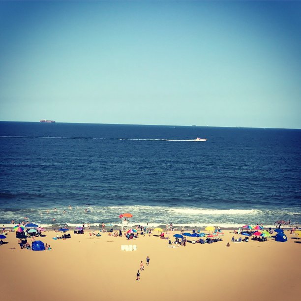 海滩的生活图片下载