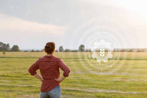 农业领域收获创新的概念。图片下载