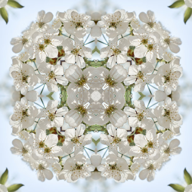 抽象的万花筒的背景。美丽的多色万花筒纹理。设计独特的万花筒。图片下载