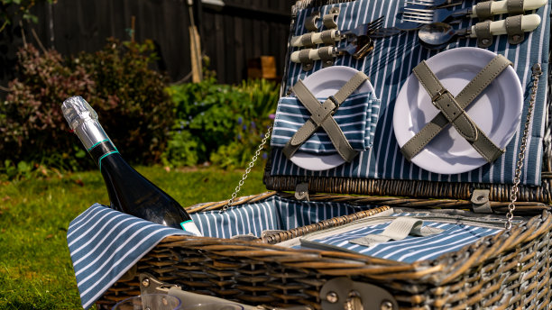 野餐篮子，午餐和气泡酒图片下载