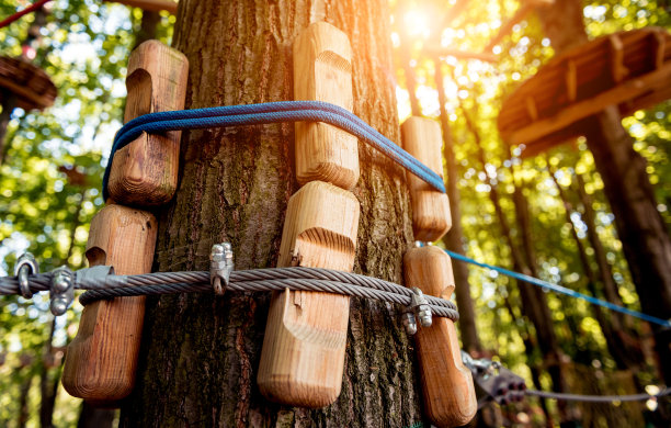 森林中绳子公园的细节。夏天冒险公园。图片下载